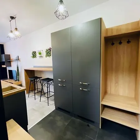 Twins Blue Blizko Centra * 米哈洛夫采